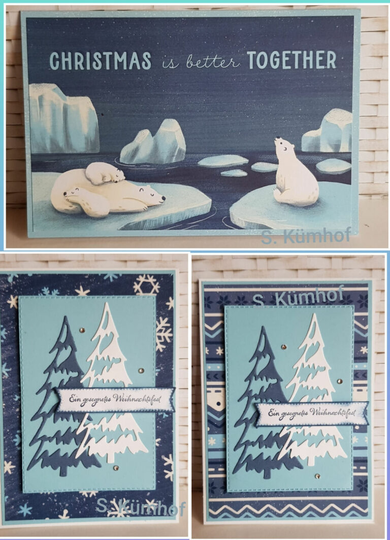 Vier Karten mit Eisbären und dem 23. November.