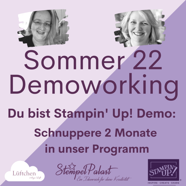 Demoworking Demotraining Lüftchen Stampin Up Demo 2022