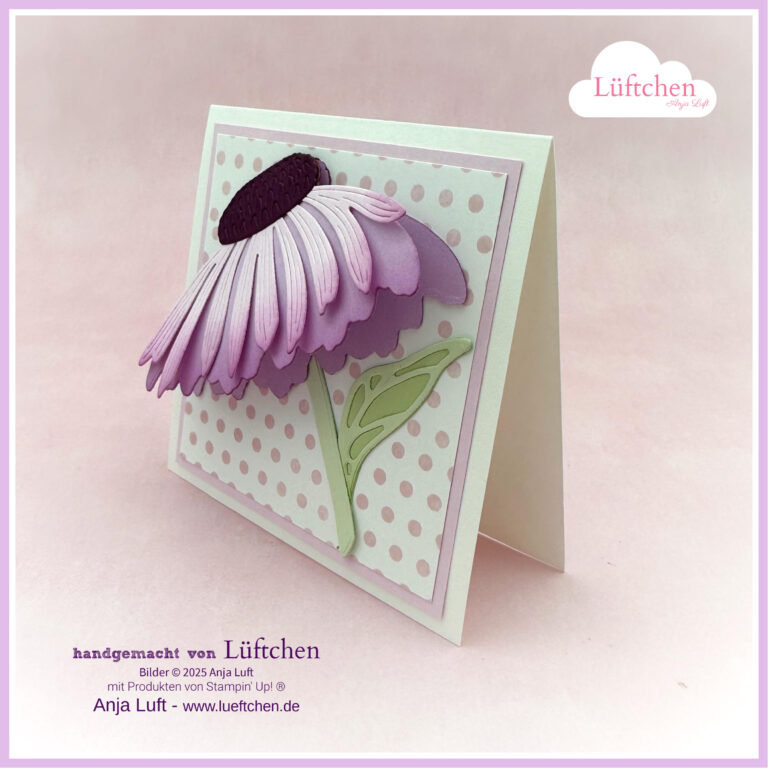 Eine handgefertigte Grußkarte aus dem Neuen Jahreskatalog 25/26 Stempelnd durchs Jahr mit einem 3D-lila Gänseblümchen mit grünen Blättern auf einem gepunkteten Hintergrund, das aufrecht steht.