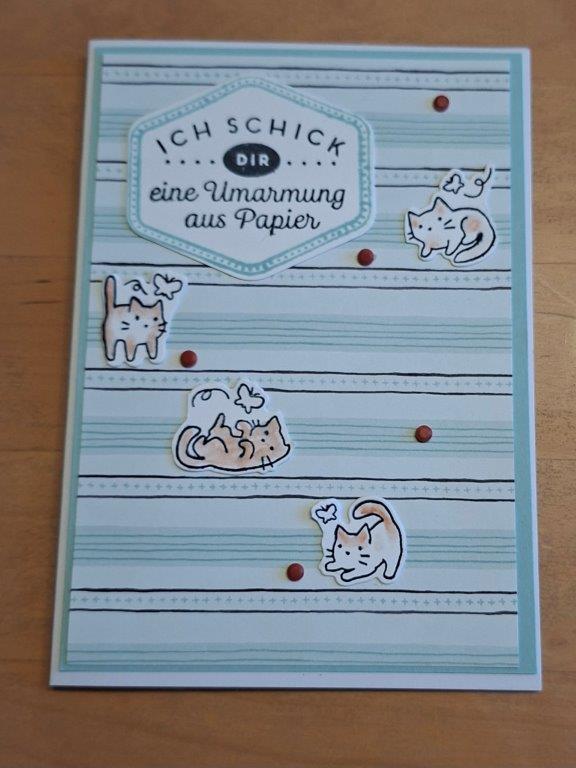 Am 26. September kam eine handgemachte Karte von Mach mit dem deutschen Text „Ich schick dir eine Umarmung aus Papier“ an, auf der Comic-Katzen und rote Punkte auf blau-weißen Streifen zu sehen waren.