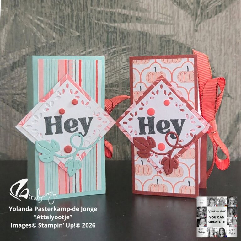 Zwei handgefertigte Geschenkboxen von Mach war draus vom 26. September, jeweils mit gemustertem Papier, „Hey“-Etiketten und Blattverzierungen – eine in Blau-Koralle, die andere in Orange mit Kürbissen.